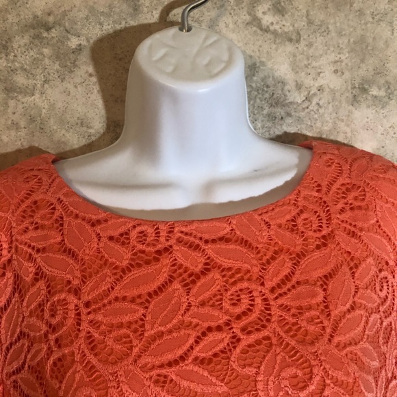 Sandra Darren Pull-Over Floral Lace Dress - Picture 3 of 13